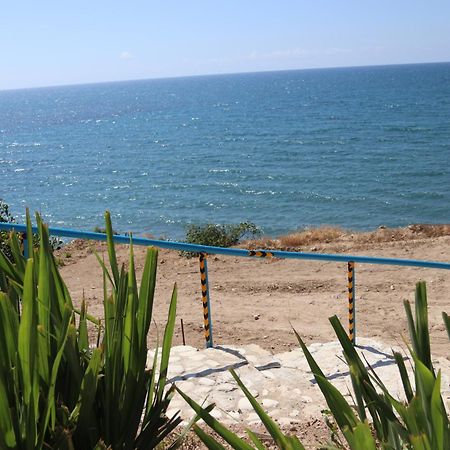 Summer Dream Cyprus Maroni Bagian luar foto