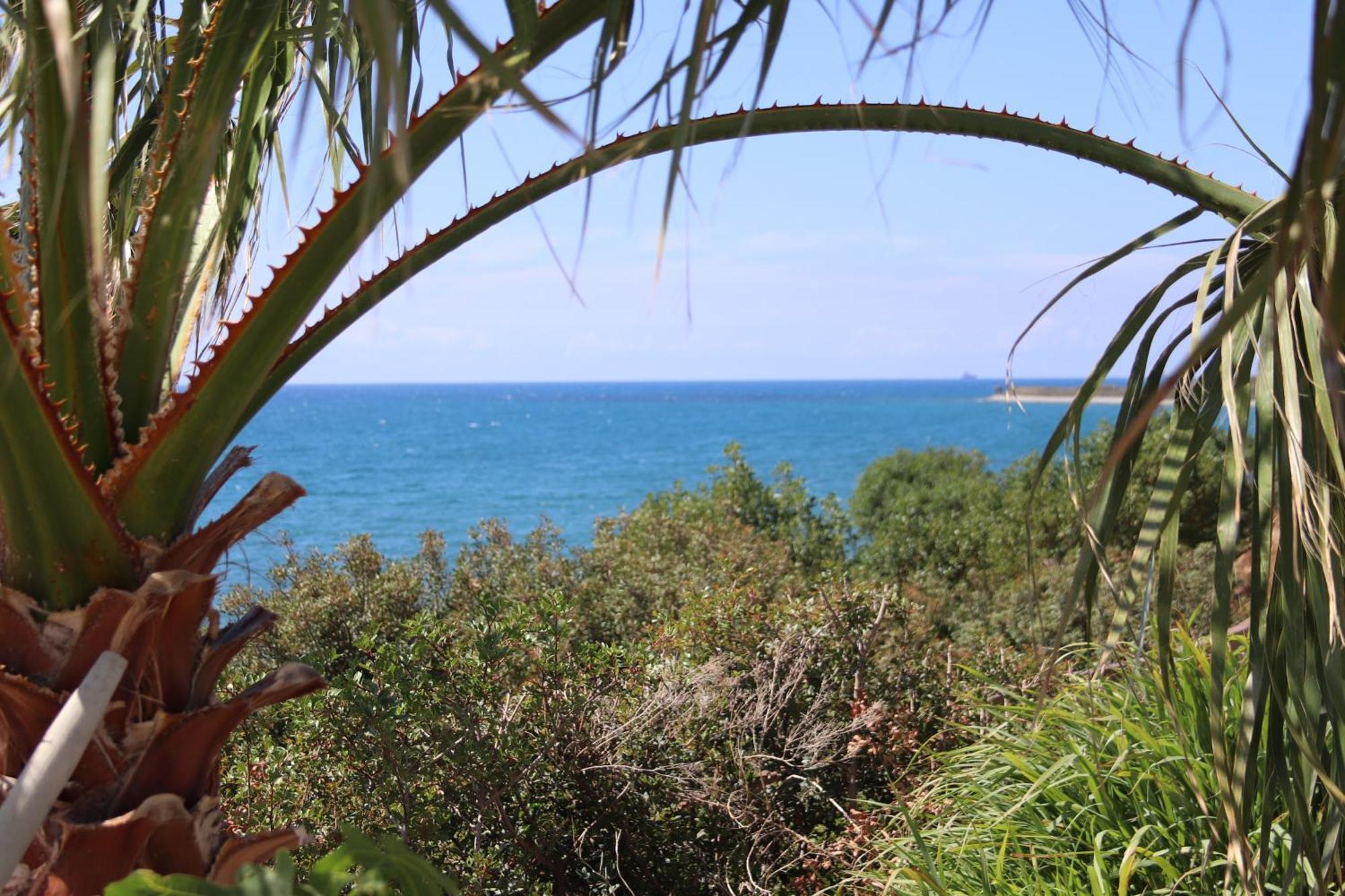 Summer Dream Cyprus Maroni Bagian luar foto